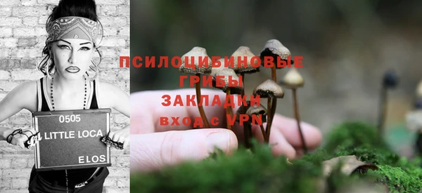 ECSTASY Семилуки