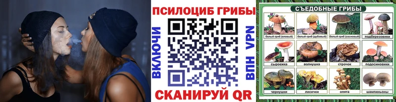 Галлюциногенные грибы Psilocybe  Богданович 